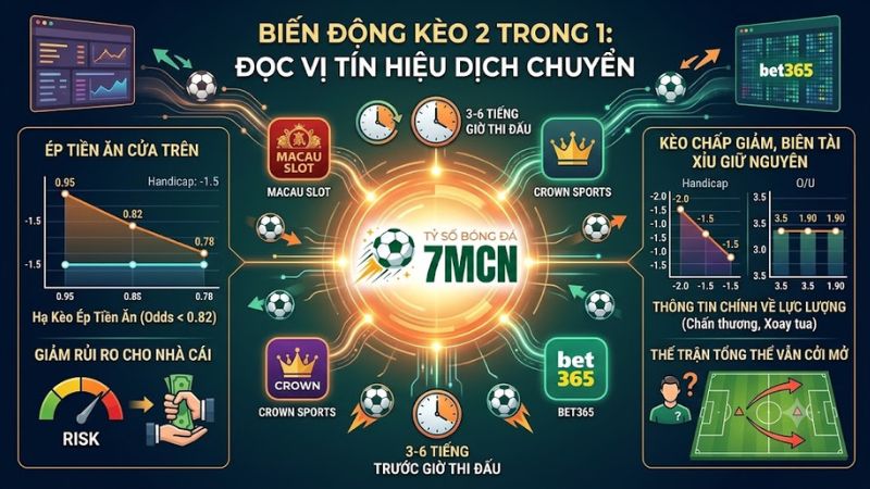 Phân tích bảng biến động tỷ lệ cược 2 trong 1 Macauslot và Bet365 tại 7m
