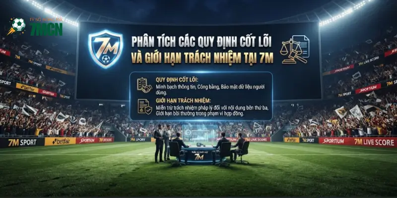 Phân tích các quy định cốt lõi và giới hạn trách nhiệm tại 7M