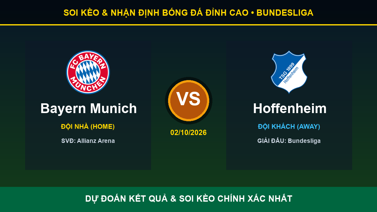 nhận định phân tích trận Bayern Munich và Hoffenheim - Banner đối đầu Bayern Munich vs Hoffenheim